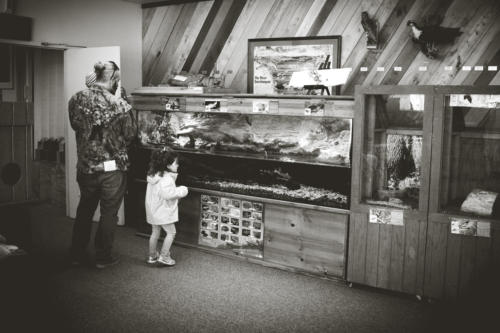 Family looking at aquarium
