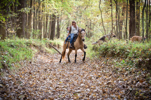 On horseback in woods